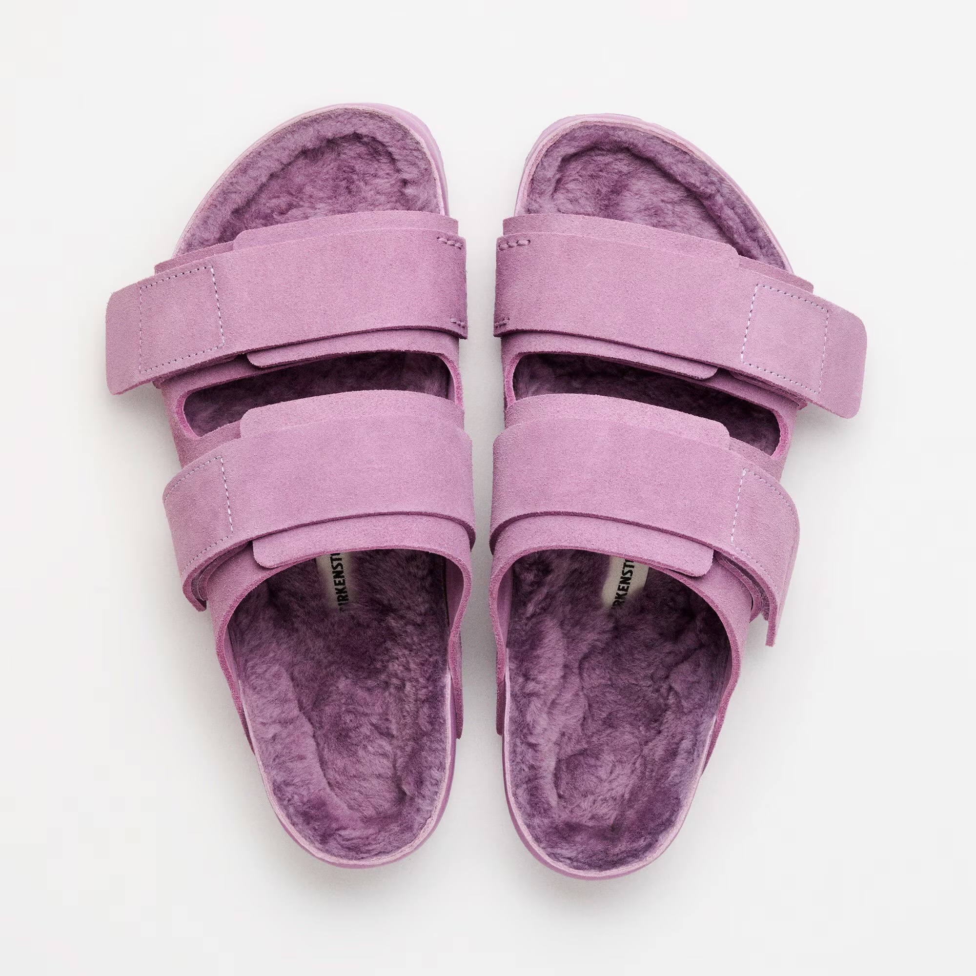 Uji Suede Tekla